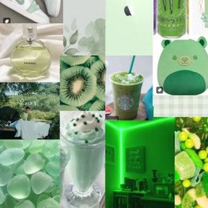 Meet your Posher, Dalia